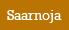 Saarnoja